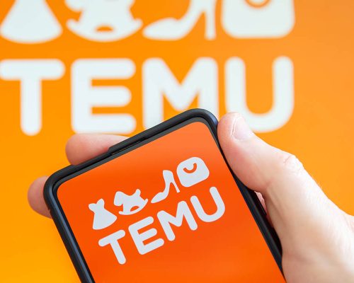 Temu in Pakistan: A Game Changer in the Online Shopping Landscape